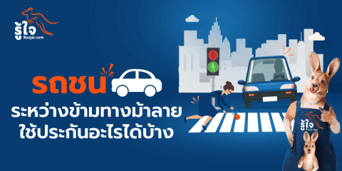 รถชน ระหว่าง ข้ามทางม้าลาย | รู้ใจ