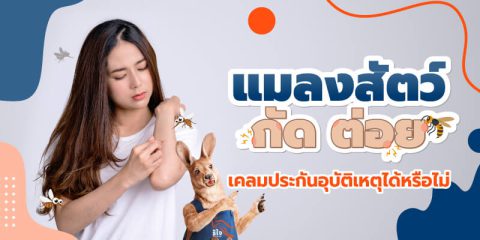 ประกันอุบัติเหตุ | ประกันอุบัติเหตุส่วนบุคคล | รู้ใจ