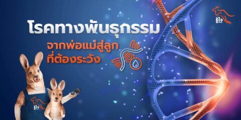 โรคทางพันธุกรรม มีอะไรบ้าง | ประกันโรคร้ายแรง | รู้ใจ