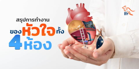 สรุประบบการทำงานของหัวใจ | ประกันโรคร้ายแรง | รู้ใจ